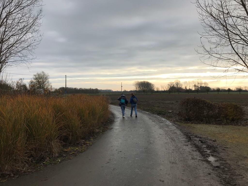 Reactie  #36